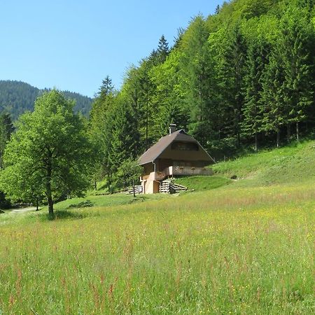 Apartmaji Brloznica Pod Veliko Planino Luče Cameră foto